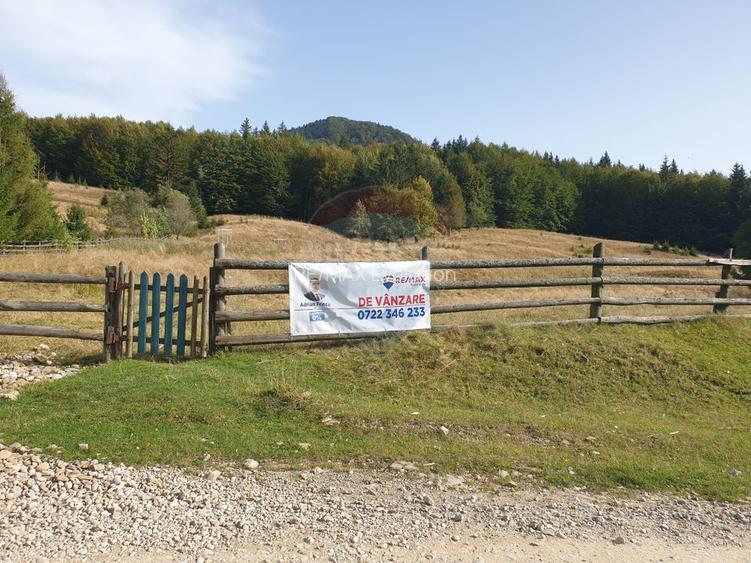 Teren 20000 mp, sat Dalghiu, com Vama Buzaului - 7