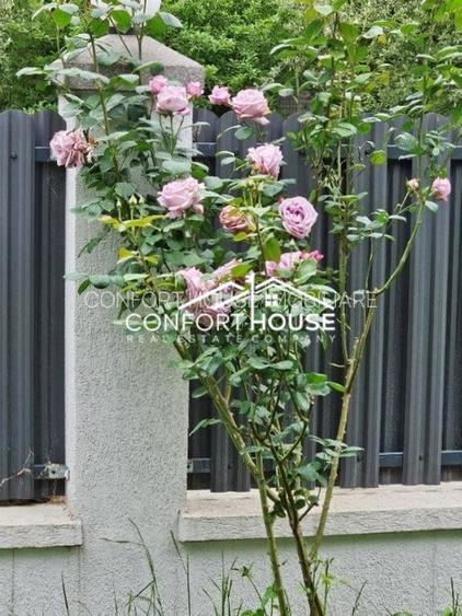 Vila D+P+E+M, teren 898mp, piscina, IANCU NICOLAE-Cambridge School - 16