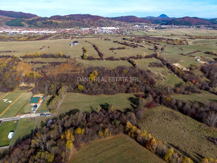 Teren intravilan 5723mp Zarnesti Tohanita- case de vacanta,investitie in turism - 10