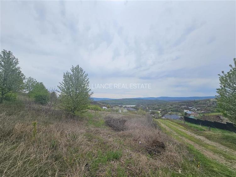Teren intravilan, priveliste panoramica, Miroslava-Ciurbesti - 3