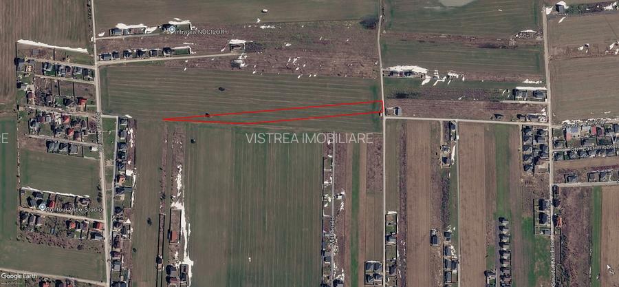 Dragomirești Vale teren intravilan 10.000 mp, asfalt si utilitati - 3