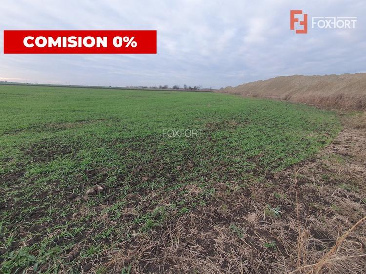 Comision 0% Teren extravilan agricol 21,32 ha sau intravilan cu PUZ aprobat - 13