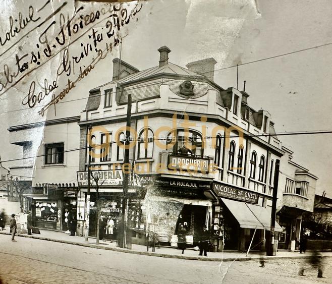 Vila interbelica D+P+1+M+spatii comerciale 340mp/necesita renovare/Gara de Nord - 2