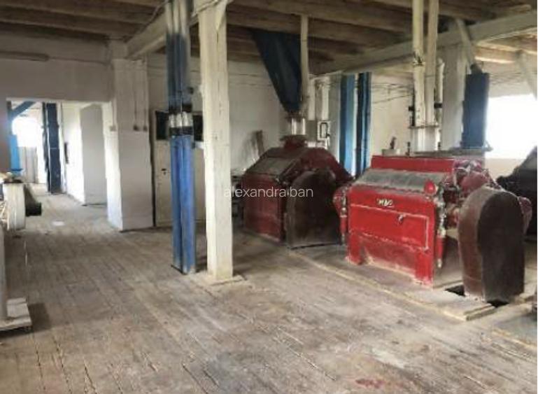 Moară cereale 50 t/zi + afacere funcțională | teren + hale | Bihor - 10