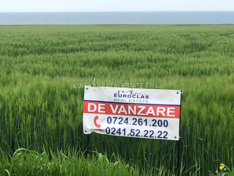 Teren 17.000mp Costinesti - zona Manastire - 100 euro/mp (Cod E2) - 9