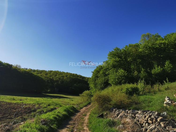 Teren la vanzare in Dej,cartier Viile Dejului - 6