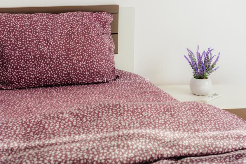 2 Camere | Bd. Unirii - Zepter | Decomandat | Renovat - 7