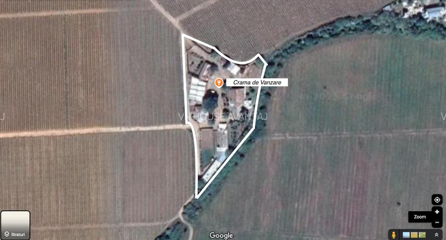 CRAMĂ FUNCȚIONALĂ DE VÂNZARE   ÎN INIMA PODGORIEI ODOBEȘTI (VRANCEA) - 12