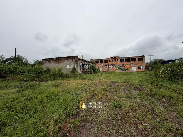 Hală industrială de vânzare – Sebiș, jud. Arad - 6