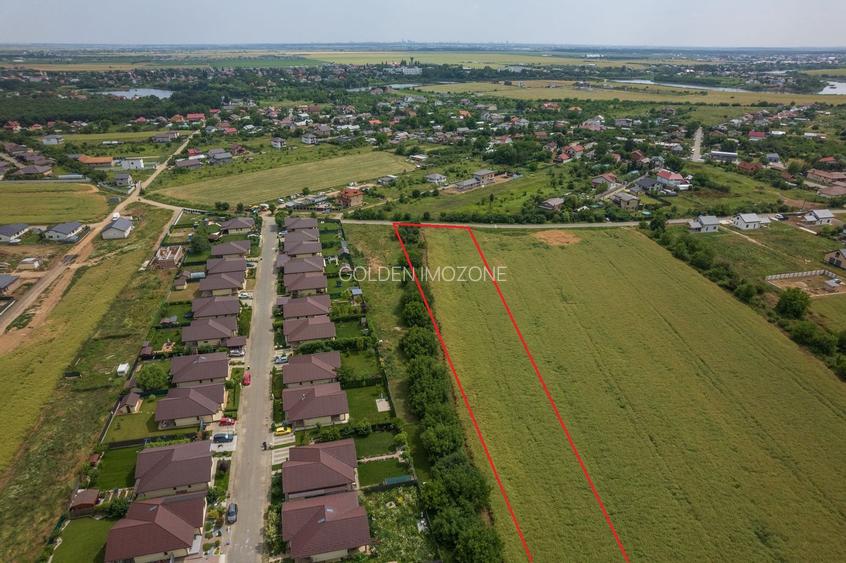 Teren intravilan, Balotești, Strada Cameliei 36, 10.000 mp - 6