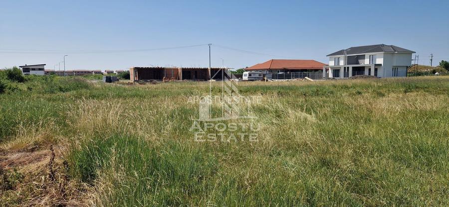 Parcela 707 mp in Sacalaz langa cartierul Primaverii - 3