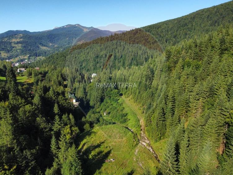 Teren 2,895mp Strada Priseci acces auto in zona telecabina BORSA - 5