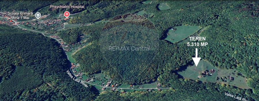 Teren de vanzare - Colonia 1 Mai, 5.310 mp, ideal pentru investitie - 11