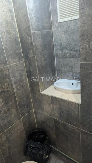 Vila P+1 Sector 1 Herastrau, Domenii, curte proprie, locuinta/birou/comercial - 22