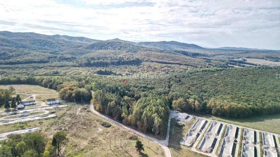 Teren Intravilan - Amplasare Unica - 3