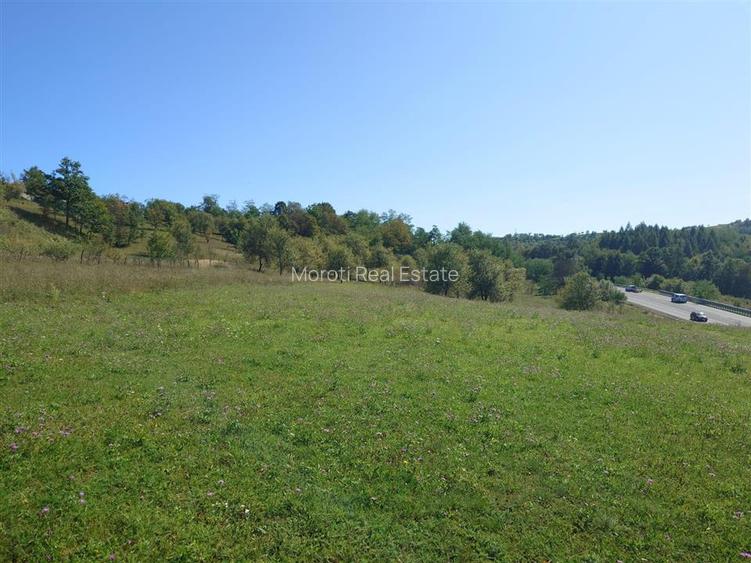 Teren intravilan 8757 mp cu acces direct la E79 - 2