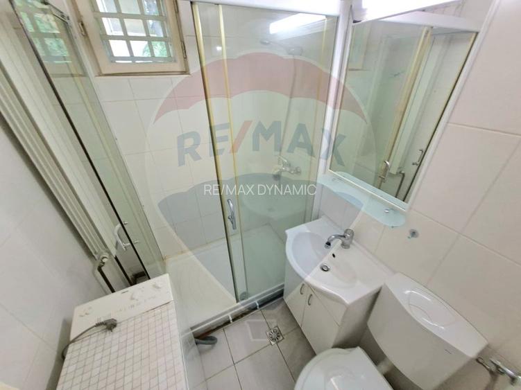 Apartament 2 camere decomandat, centrala gaz, de închiriat Podgoria - 13