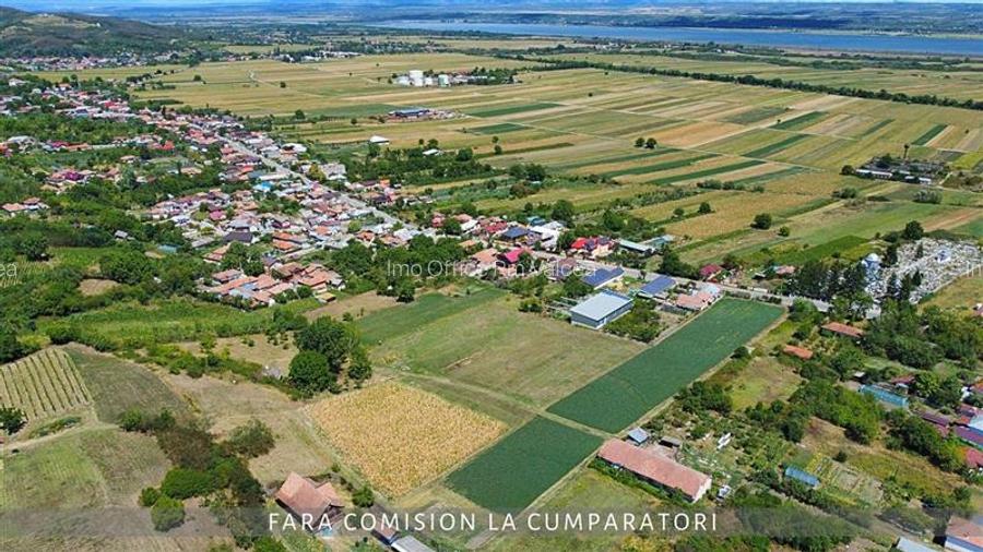 OPORTUNITATE UNICA IN DOMENIUL VITICOL - 4