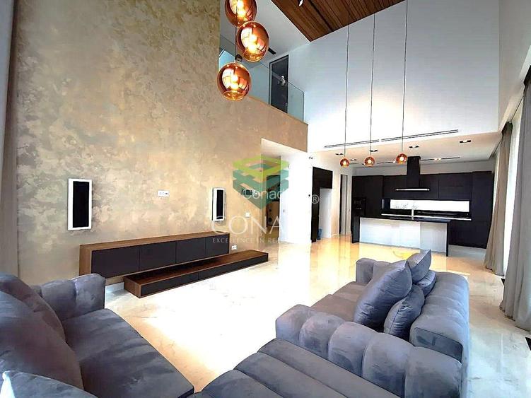 Baneasa- Iancu Nicolae, vila de inchiriat, 460 mp utili - 4