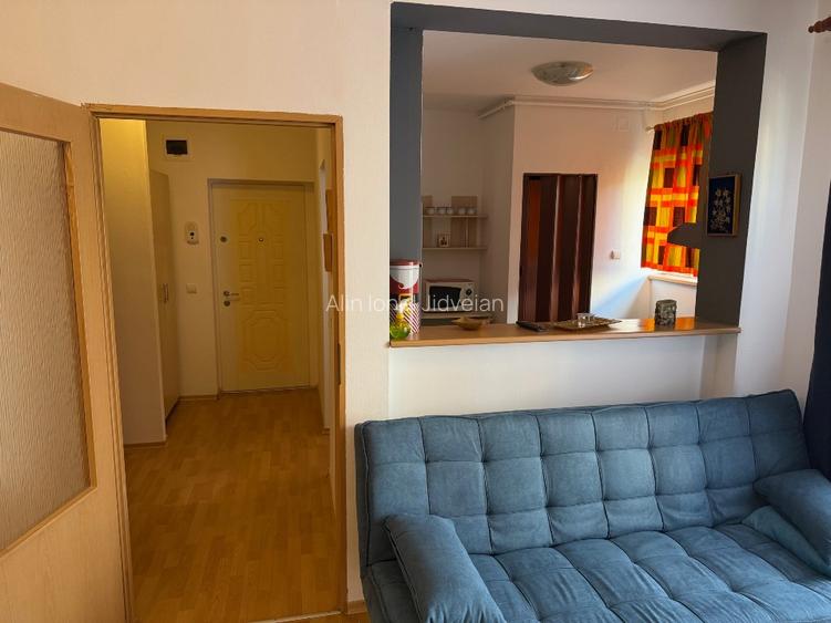 Apartament 1 camera -str Plopilor - 4