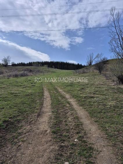Teren intravilan la baza pădurii Valea Doftanei sat Traisteni (poduri) - 12