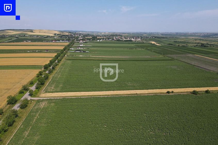 Teren - Orășeni Deal, Curtești | BOTOȘANI | 10.000mp - 4