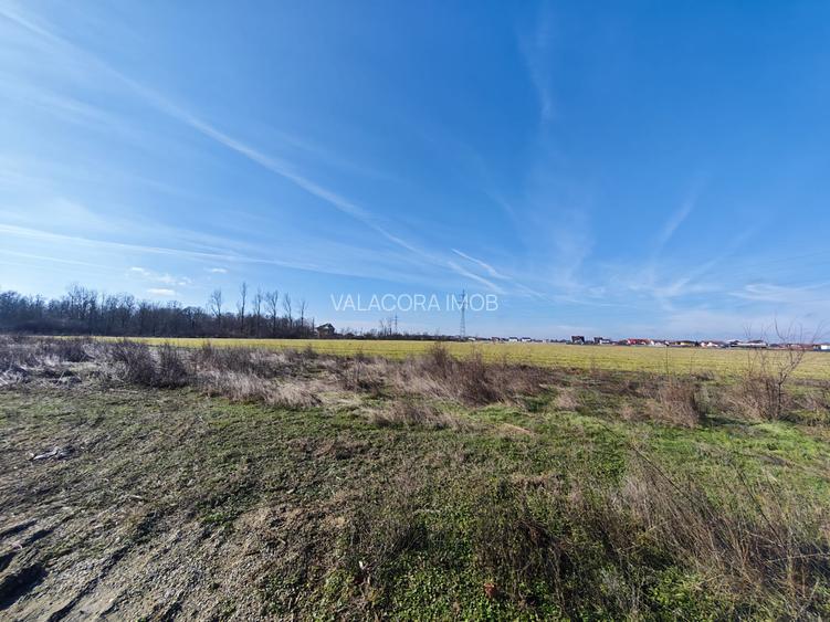 OFERTĂ VÂNZARE TEREN INTRAVILAN – MĂGURELE, STRADA STEJARULUI - 5