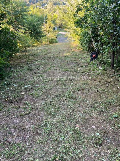Spre vanzare cabana+ teren intravilan 1050mp pretabil casa de vacanta/locuinta - 22