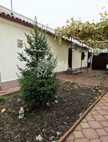 Casa 3 camere situata in Valul lui Traian - 19