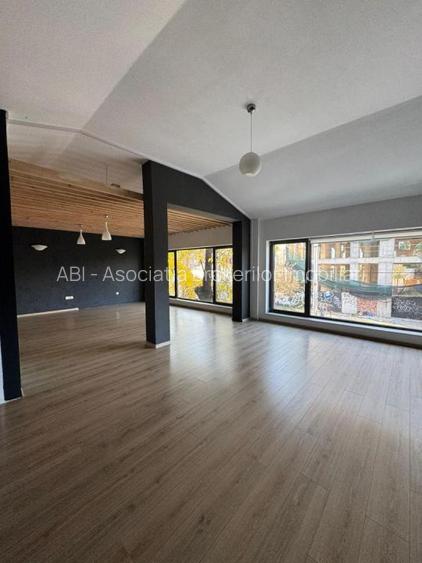 Spatiu  Stefan Cel Mare S P 1 supr 215 mp - 21