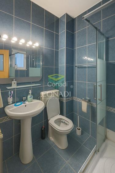 Calea Dorobantilor, apartament cu 4 camere de vanzare,170mp construiti - 11