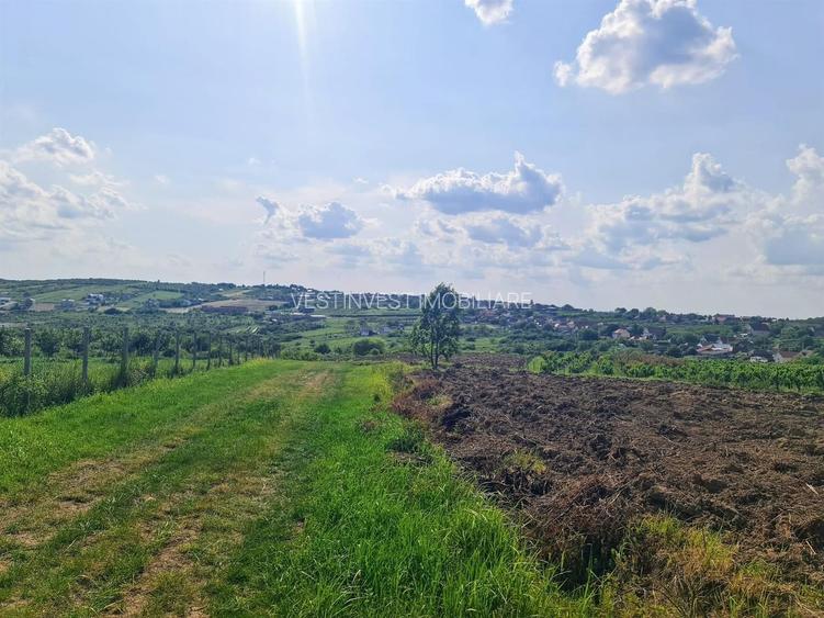 Teren intravilan Saldabagiu de Munte 1100m - 5