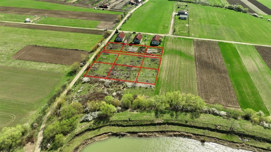 RECO , teren intravilan, Ineu,Bihor - 3