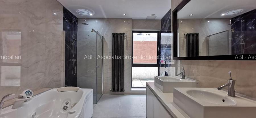 Dorobanti Penthouse supr. 235mp terasa 130mp - 12