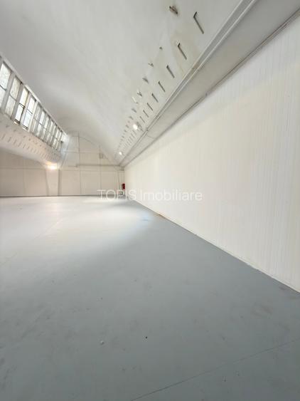 Pantelimon / Republica - Spațiu Industrial / Producție / Depozitare - 26