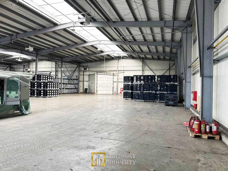 De Inchiriat Hala industria- PREMIUM – 720 mp, Arad | Doc, rampă TIR - 4