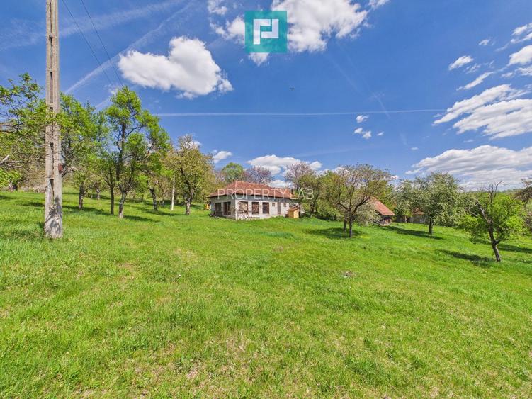 Proprietate rară cu 24.270 mp, în Măgulicea, Arad! - 44
