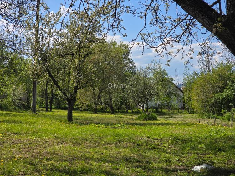 Vand casa veche de renovat cu teren 1775mp in Baciu - 2