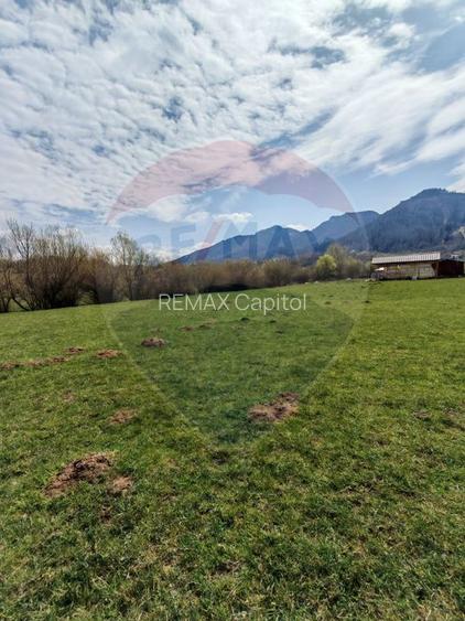 Teren 1,404mp Zarnesti / Strada FN - 3