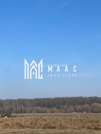 Teren 8600 MPU | Extravilan | Calea Cisnadiei - 4