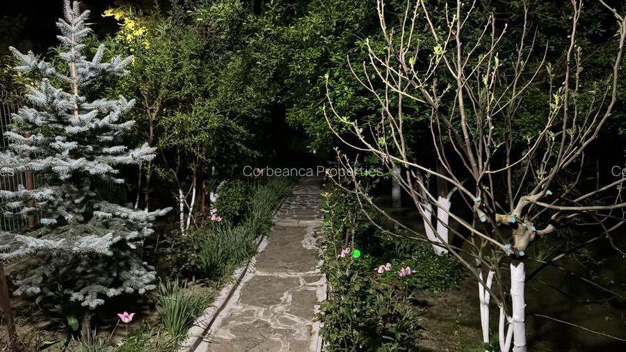 Inchiriem cabana in Calimanesti (Seaca), cu ponton la Olt, gradina - 3