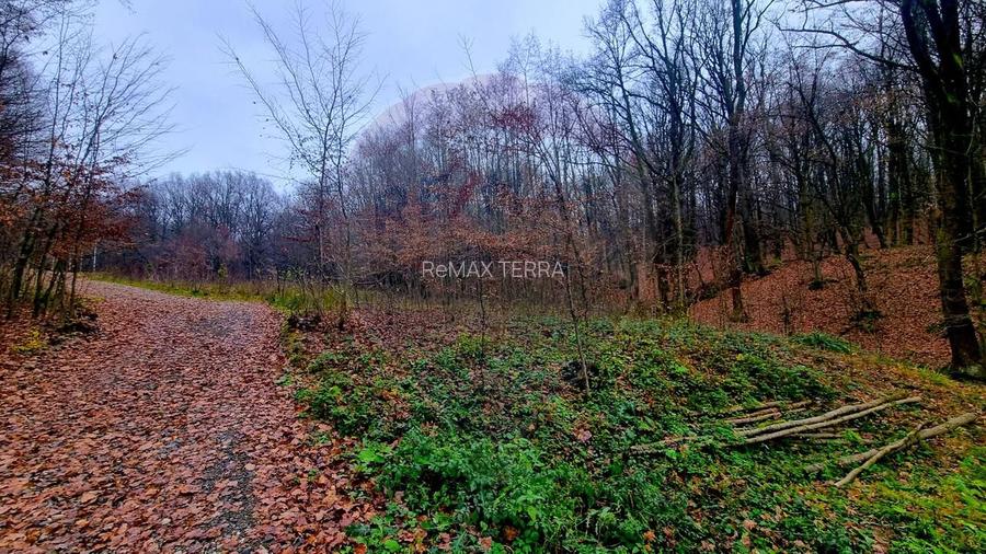 Apa Sarata Teren de vanzare cu deschidere la padure - 6