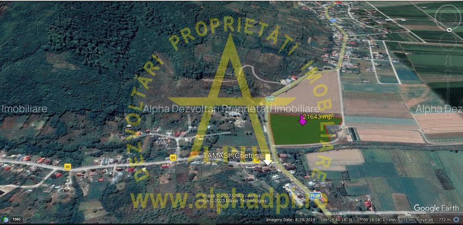 Bacau com. Tamași teren intravilan 21643 mp - 2