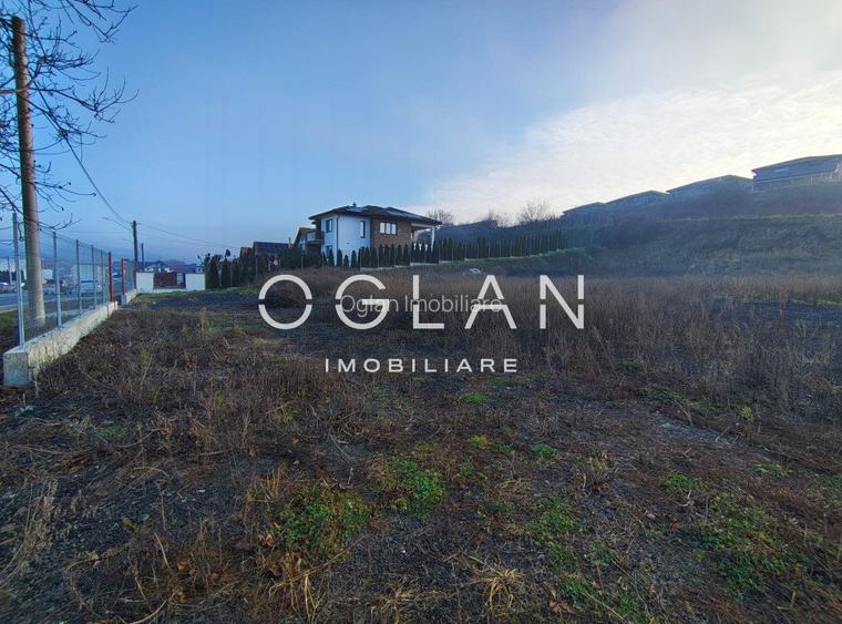 Teren Imprejmuit, la sosea (DN14)- SURA MARE - 5