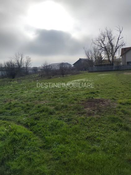 TEREN DE VANZARE DOMNESTI, 600 mp - 3