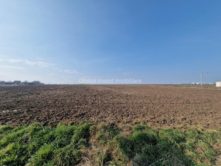 Navodari -teren 22.600mp cu deschidere la asfalt 114ml, ideal investitie - 7