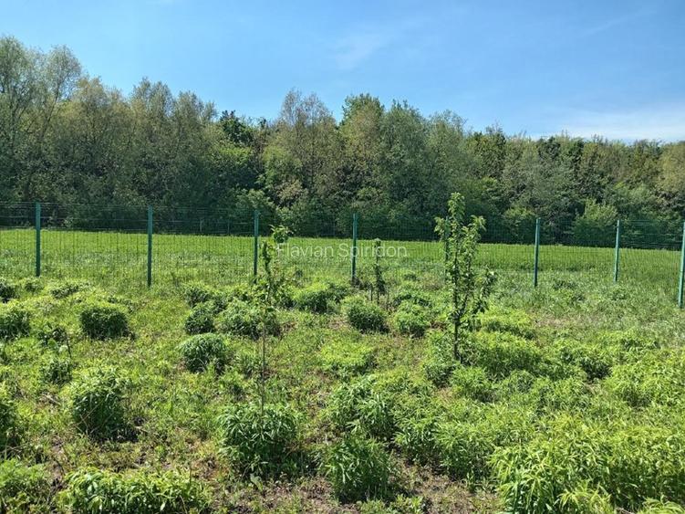 Teren intravilan, Stupini, str. Baciului, deschidere 46ml,parcelabil,îngrădit  - 2