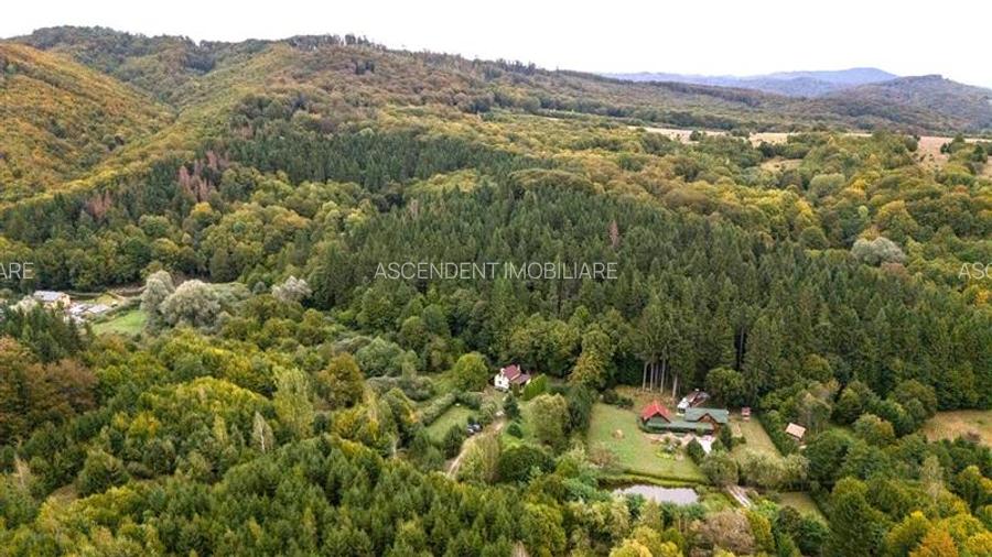 Tur 3D!Cabana de vacanta,zonare valoroasa, cu teren de 2.100 mp,Vladeni,Brasov - 13