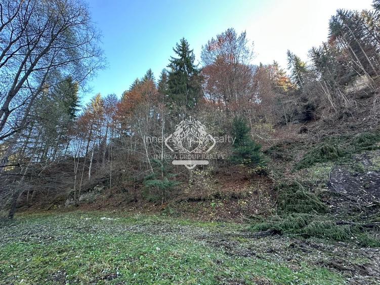 Teren 2.882 mp – oportunitate investitie - Cheile Dâmbovicioarei - 6