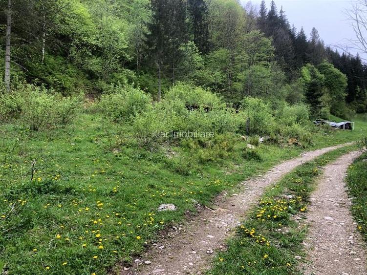 Teren pentru cabana Racatau - 3